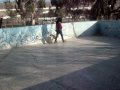 SDC10231