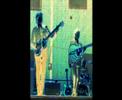 AppLE PIES - Beatles Tribute Band - Blackbird