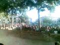 Palio 2008 Casteldelpiano