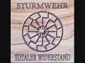 Sturmwehr - Radikal & National - 04 - Wir sind wie ihr.wmv