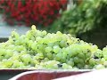Clos Domaines et Ch�teaux