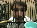 Teaching Our Birds To Talk Teaching Our Birds To Talk