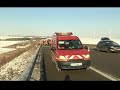Accident dans l'Aube: Sauvetage de 18 chiens