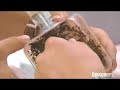 Dirty Jobs S5E5 - Leaf-Cutter Ants Segment from Bug Breeder