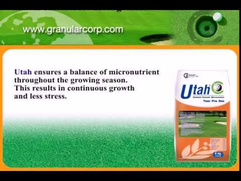 how to fertilize golf greens