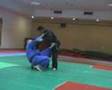 tomoe nage
