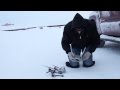 TOO COOL! Video of the unmanned aerial vehicle in scouting the ice in Nome, Alaska (USCG)