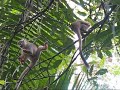 Jon and Joans Excellent Adventure in Ecuador