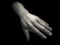 Zombie Hand Zombie Hand