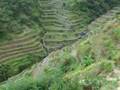 Wiesl Jr Tours: Philippines Rice Terraces Banaue, Batad