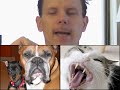 Comedy Animal Porn - Commerical One Comedy Animal Porn - Commerical One