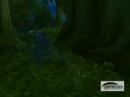 The New Ghost Wolf Animation