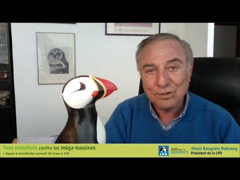 Image de prévisualisation YouTube