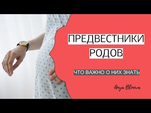 Видео: XZbytKWPktU