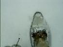 Snowshoes