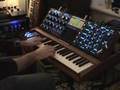 Minimoog Voyager response to Minimoog from 1976