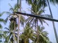 Making Of Movie Ajeb Prem Ki Ghazab Kahani , ApnePoints: 847