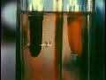 Scientific Penis Fingers (Authority Office #X)