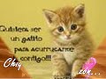 Reggaeton romantico - mix