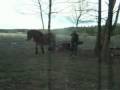 videos de Vilja med 8-hjulingen Hos Englund