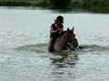 lamotte