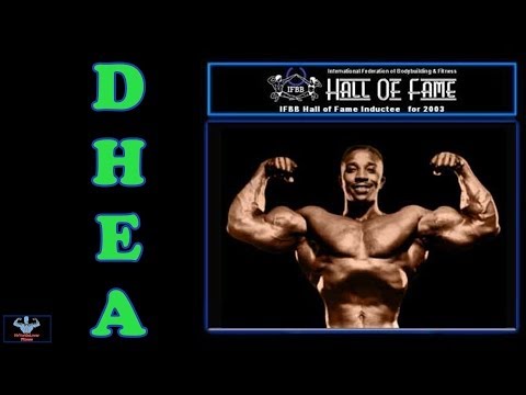 how to use dhea properly for bodybuilding