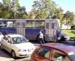 Autó és BKV busz