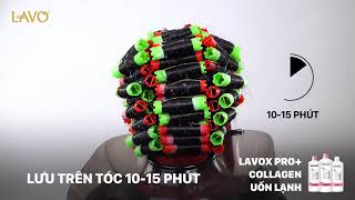 Kỹ Thuật Uốn Bền Đẹp Với Uốn Lạnh Lavox Pro+ Kỹ Thuật Uốn Bền Đẹp Với Uốn Lạnh Lavox Pro+