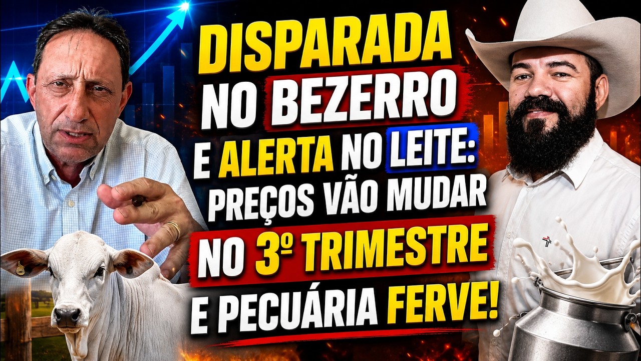 Disparada no BEZERRO e alerta no LEITE: Preços Vão Mudar no 3º Trimestre e Pecuária Ferve!