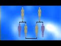 ??(evolution)