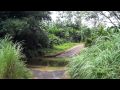 Playa Chiquita, Panama View Video