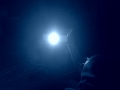 Stare at the light and burp