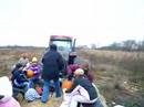 Pumpkin Patch Pumpkin Patch
