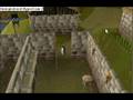 videos de syn-gaming or fagex 508 a penguin halloween