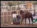 GRAPHIC -- Rodeos Abuse, Maim and Kill Animals