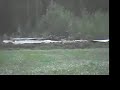 Smithers Bulkley River Flood