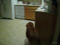 100_1602.mov