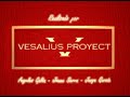 Vesalius Project. Dres. Saenz de Cabezon
