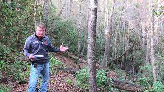 Lake Keowee Real Estate Video Update December 2022 Mike Matt Roach Top Guns Realty