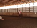 Diego Clinic with BAKER