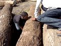 Girth Measurement