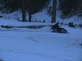My free snowmobile meets a tree