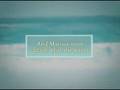 Sweet Life Book Trailer