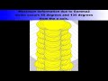 Strain Deformation - Solid Tide Signals