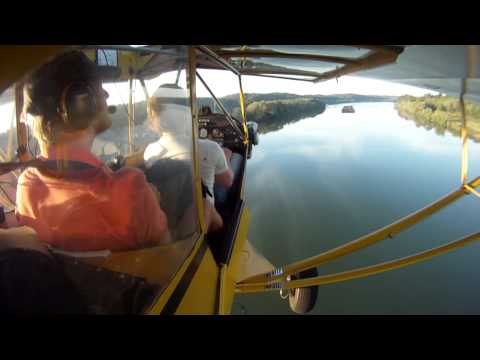 Piper Cub - Flying low
