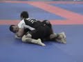Franjinha (Paragon BJJ)  X Luciano Bandeira
