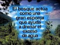 Desaparece �l, desaparecemos nosotros