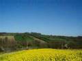 Prelepa Šumadija