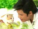 TVB 當狗愛上貓 宣傳片 羅嘉良 (TVB Channel)