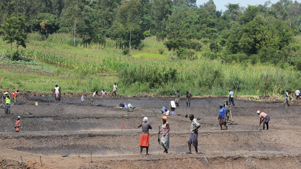 The Study on Climate Smart Aquaculture Technologies, Innovations and Management Practices in Kenya